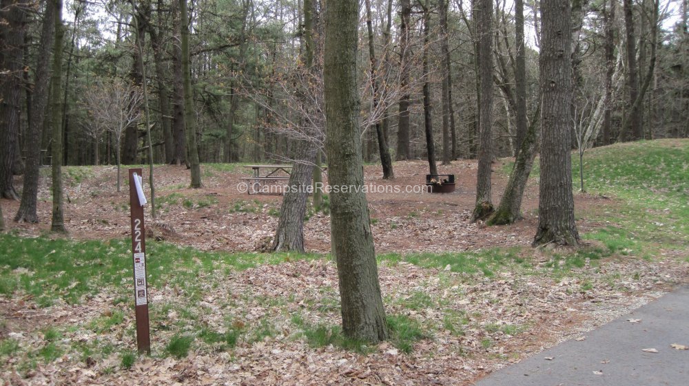 Campsite 224 in KohlerAndrae State Park Campground at KohlerAndrae State Park, Wisconsin